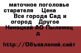 маточное поголовье старателя  › Цена ­ 3 700 - Все города Сад и огород » Другое   . Ненецкий АО,Пылемец д.